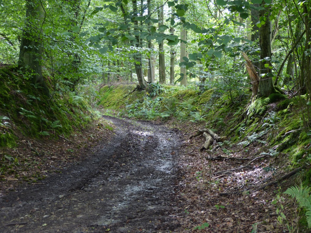 L1060608.jpg
